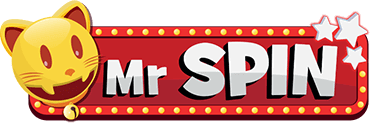 Mr Spin